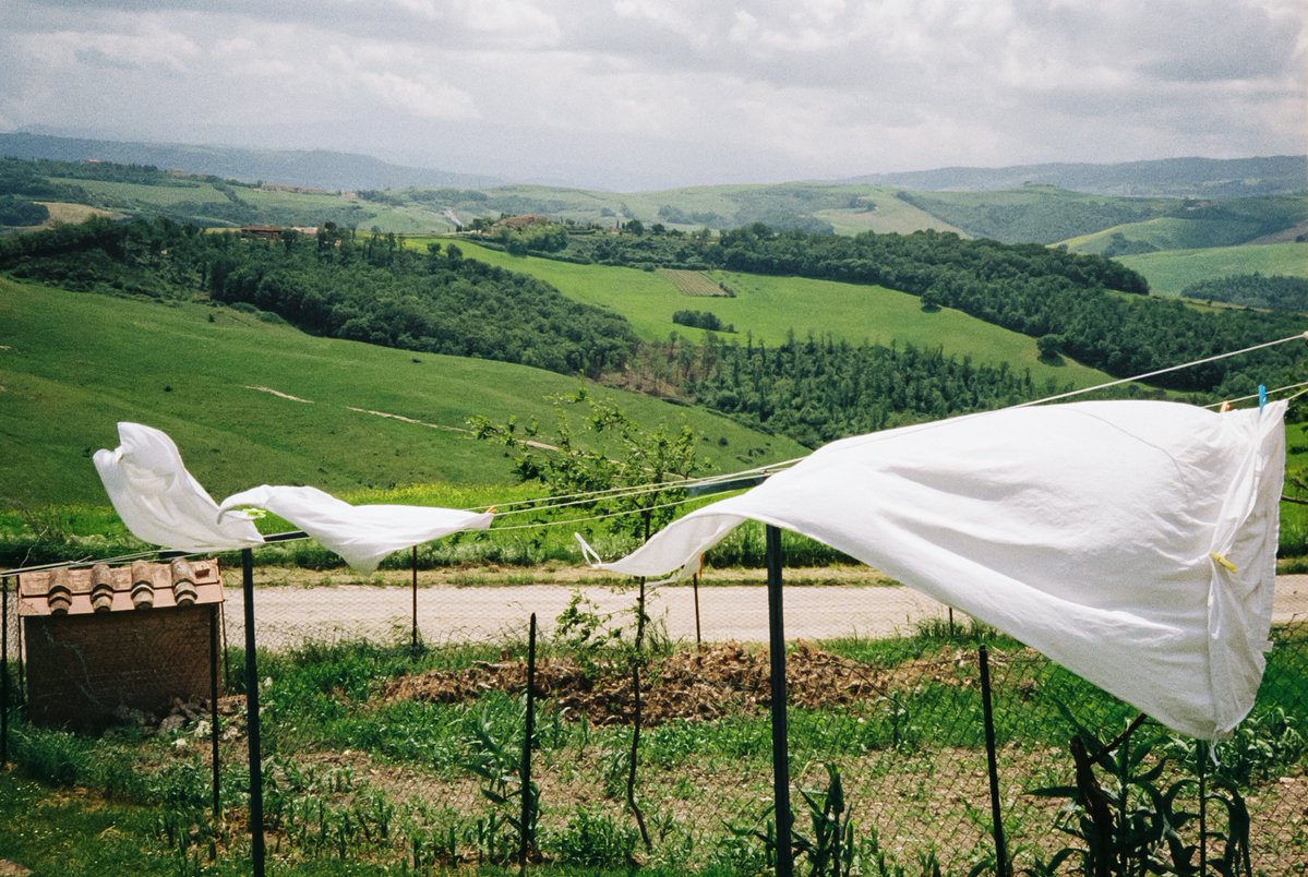 michaelboegl's tweet photo. Tuscany on 35mm film 🎞️ https://t.co/apgvsgX57q