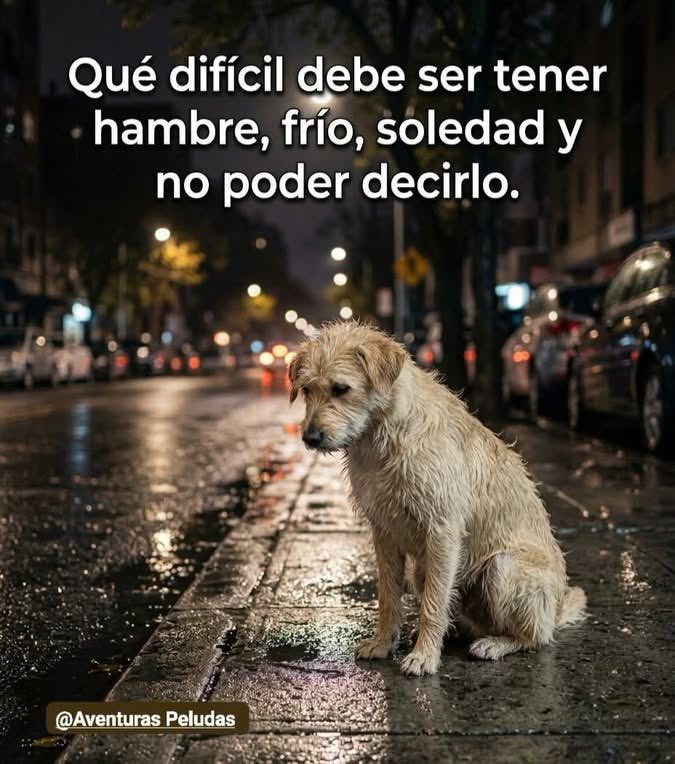 LQuino47372's tweet photo. https://t.co/ZunRecmZK2