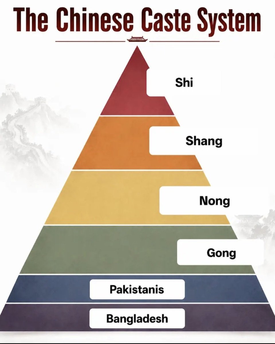 shivamch_'s tweet photo. Updated Chinese Caste System ! https://t.co/fd24XyksoE