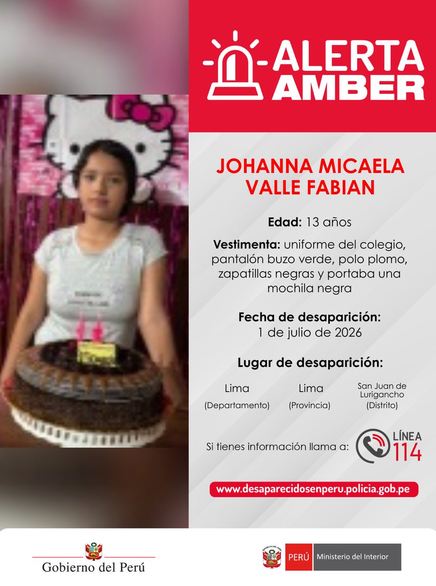 MininterPeru tweet picture