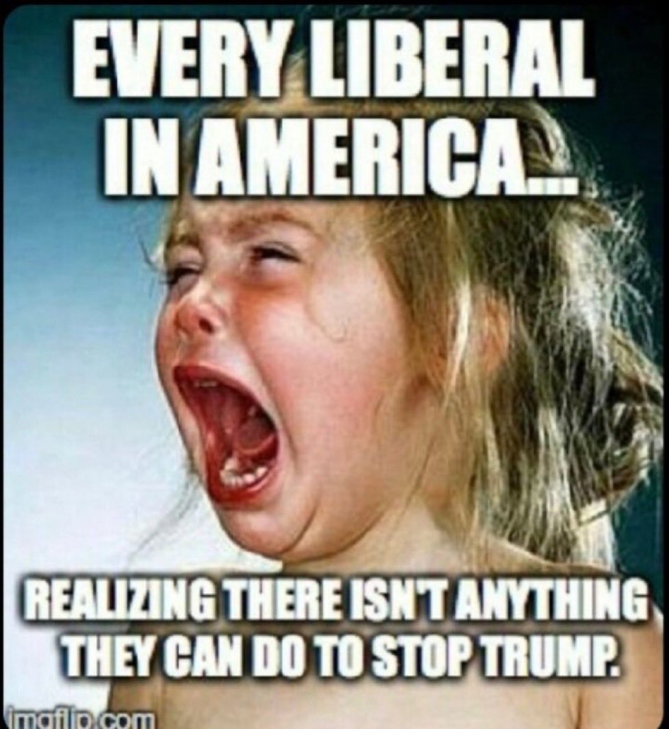 Colonial6033's tweet photo. @NHTeaParties @krassenstein 🖕🏻🫏 https://t.co/eiCuEer22Z