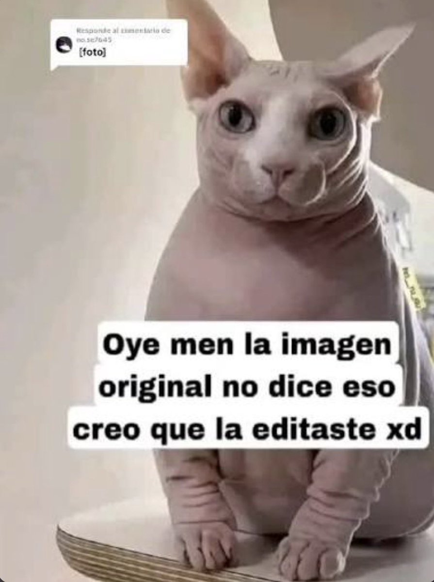 KEIKEIKEIKEIKEIKEIKEIKEIKEIKEIKEIKEIKEITH tweet media