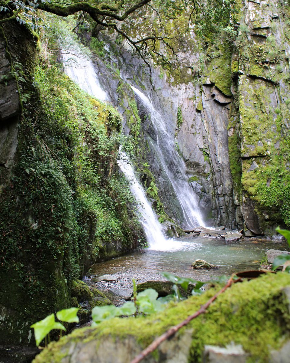 alentejo_1970's tweet photo. Bem no coração da Serra do Açor, esconde-se a Fraga da Pena. Uma cascata de 19 metros, um recanto de frescura e serenidade onde só se ouve a água e o chilrear dos pássaros. Um dos locais mais maravilhosos que estive! 🌲🌲🌲 https://t.co/zKRQN3WL5S