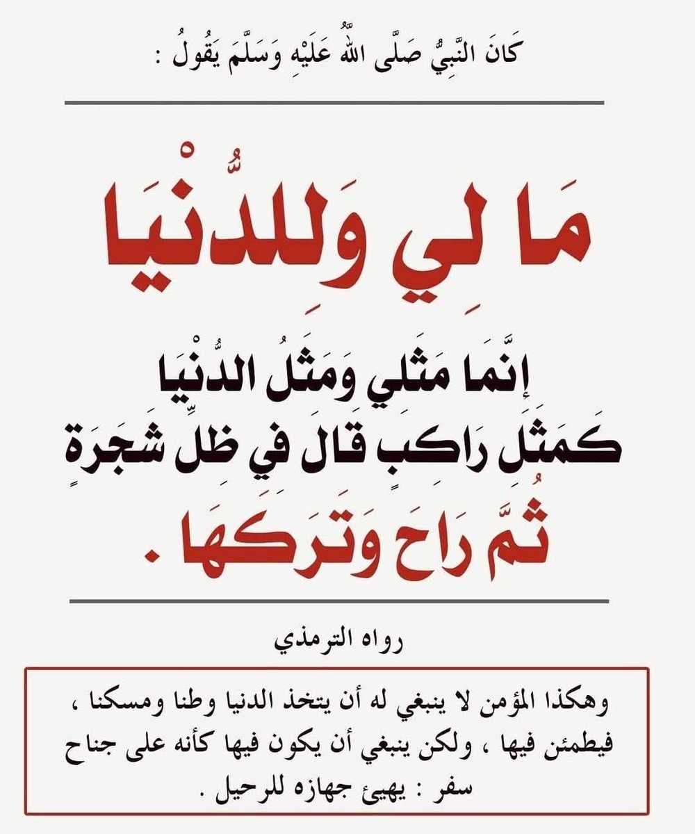 إشراقات سنية tweet media