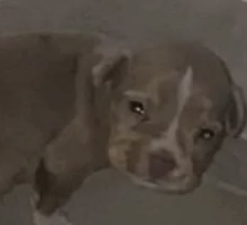 galaxyylix's tweet photo. mal entrei aqui e já tô arrependida mds que sofrimento ver todo mundo indo ver o enha e eu ficando em casa https://t.co/C8rJuhfSYU