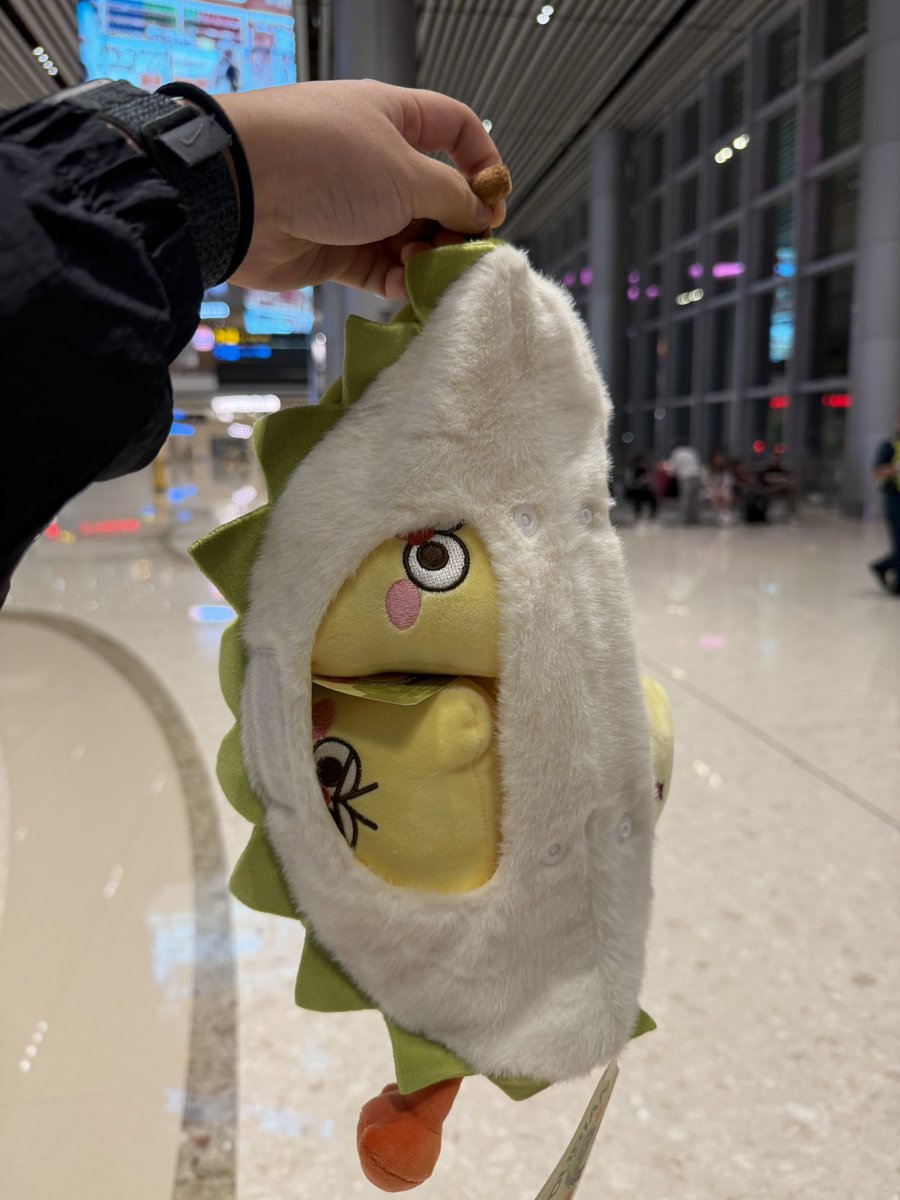 jokersauraxl's tweet photo. SUCCESSFULLY GAVE LIL DURIAN TO IRENE WHOS HOLDING A DAMN HEATPACK IN SINGAPORE’s HEAT??!! 🫪

I also showed off my giant durian plush and she started laughing😭😭 i love this girl my goodness me🩷🩷

#IRENEinSG #IRENE #IRENE_IWILL #IRENE_IWILL_IN_SINGAPORE https://t.co/mO5aHiy5cK
