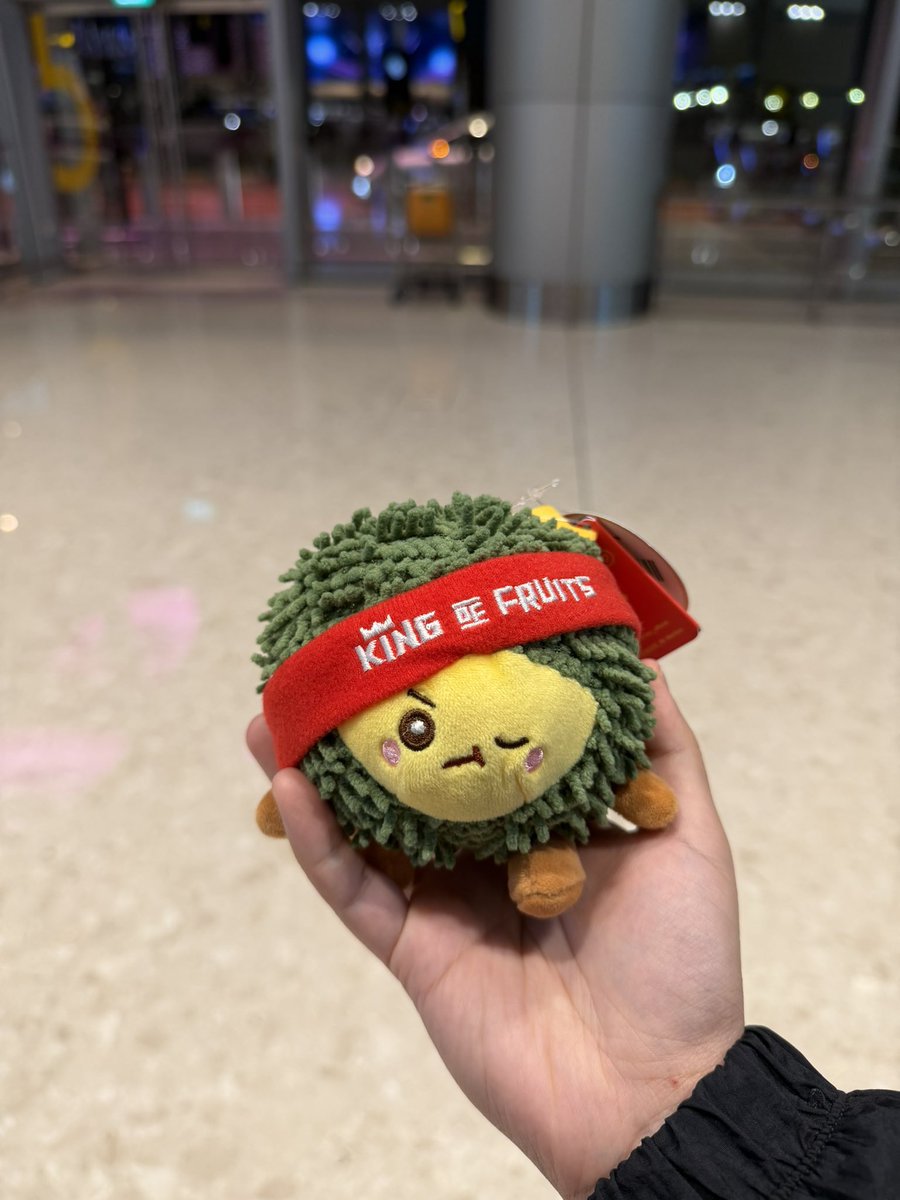 jokersauraxl's tweet photo. SUCCESSFULLY GAVE LIL DURIAN TO IRENE WHOS HOLDING A DAMN HEATPACK IN SINGAPORE’s HEAT??!! 🫪

I also showed off my giant durian plush and she started laughing😭😭 i love this girl my goodness me🩷🩷

#IRENEinSG #IRENE #IRENE_IWILL #IRENE_IWILL_IN_SINGAPORE https://t.co/mO5aHiy5cK