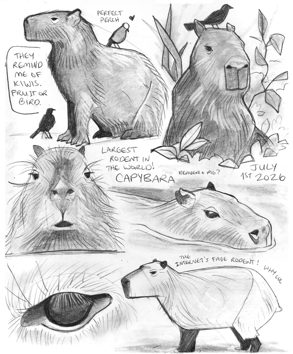 incaseyouart's tweet photo. The last pages for the animal book I want to make are done~ https://t.co/bwTBPYa3aE