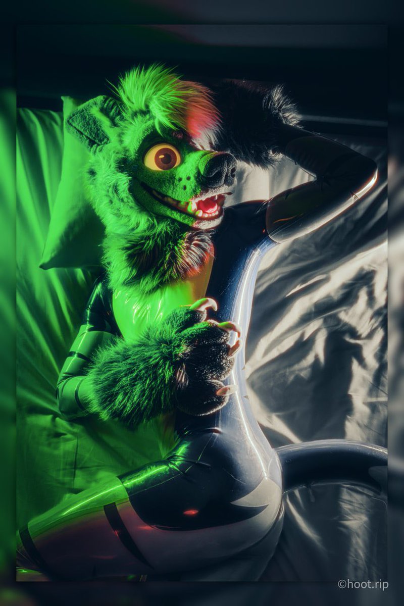 SteelYeen's tweet photo. King size bed for my squishy tail 🐾
-
📸- @QuiteDaHoot https://t.co/iVLAactUwc