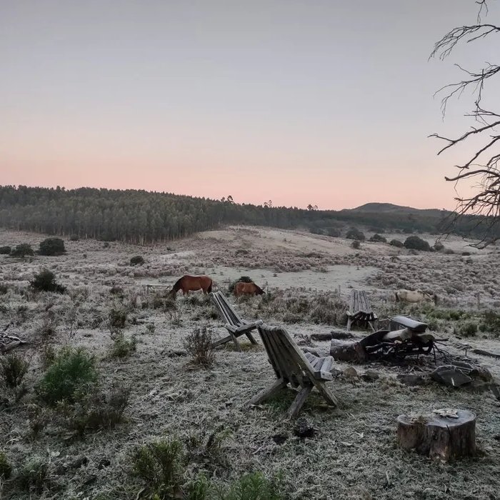 portalmvd's tweet photo. EL FRÍO SEGUIRÁ HASTA EL MARTES Y EL LUNES SERÁ EL DÍA MÁS CRUDO

Las heladas y nieblas marcaron el arranque del sábado y el frío extremo seguirá varios días. Según Nubel Cisneros, el lunes será el día más crudo, con mínimas de hasta -2 °C.

El frío intenso continuará al menos hasta el martes, con heladas fuertes, nieblas y temperaturas bajo cero en varias zonas del país. 

Contexto
Este sábado comenzó con heladas en buena parte del territorio y luego se formaron nieblas y neblinas aisladas. La tarde seguirá fría a fresca, con cielo parcialmente nublado.

Números
Según datos de Mario Bidegain, Carmelo registró -2,7 °C, Young -1,3 °C, Salto Grande -1,6 °C y Mercedes -0,8 °C durante la madrugada de este sábado.

Cómo sigue
El domingo volverá a empezar con heladas y neblinas, y el tiempo desmejorará hacia la noche por el suroeste. El lunes habrá lluvias y lloviznas aisladas en zonas costeras del sureste y el este.

Además
El martes también tendrá una mañana muy fría, con fuertes heladas y nieblas. La tarde traerá más períodos de sol, aunque la noche volverá a ser muy fría.

(+) en Montevideo Portal: https://t.co/g5HGn3tvJR