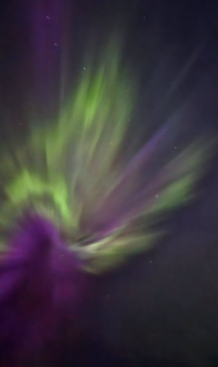 kristoph_errr's tweet photo. Incredible show last night.

#Aurora #NorthernLights #yegwx https://t.co/x77BeXQVEO