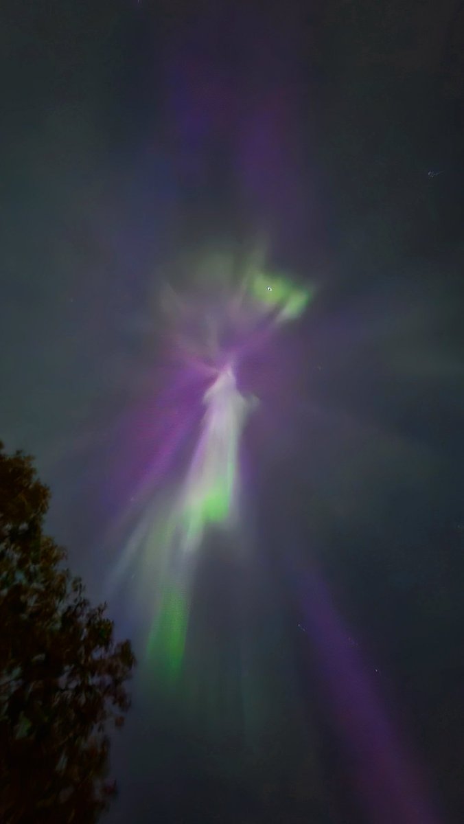kristoph_errr's tweet photo. Incredible show last night.

#Aurora #NorthernLights #yegwx https://t.co/x77BeXQVEO