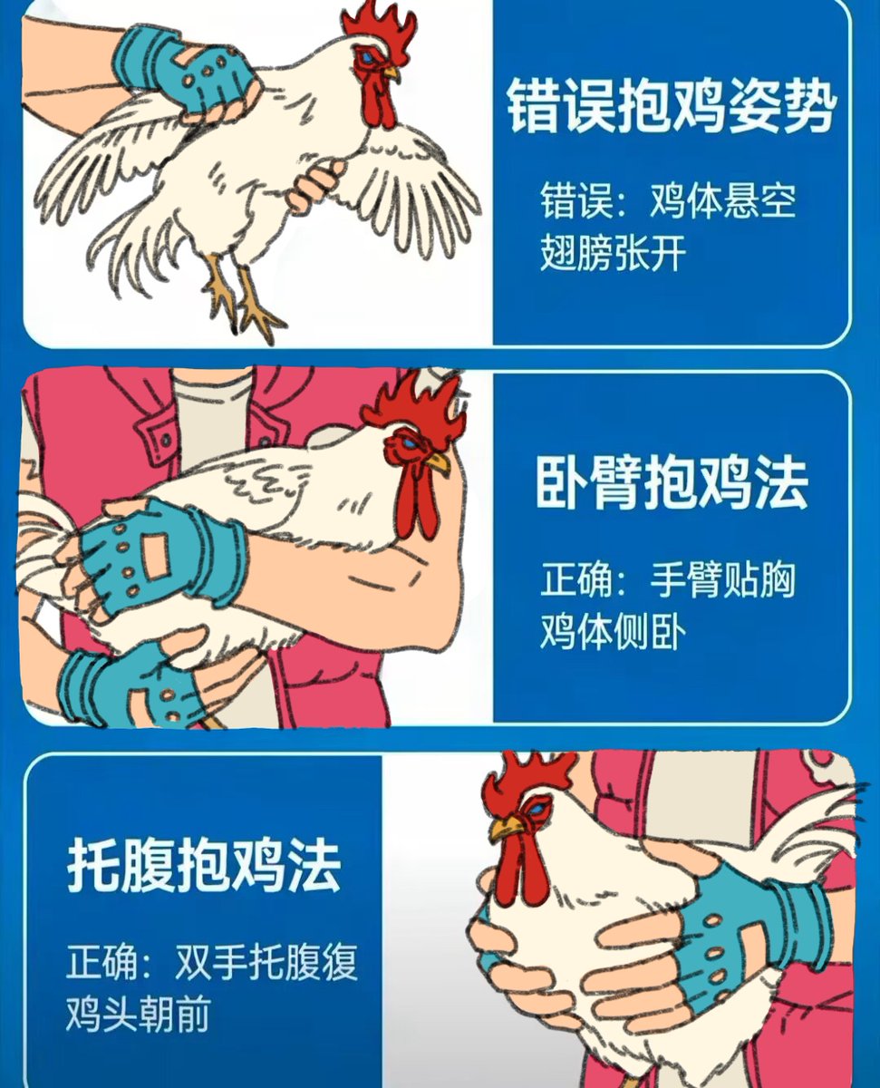 Shannon83505186's tweet photo. How to hold a chicken correctly #Hotlinemiami https://t.co/cmaMDty458