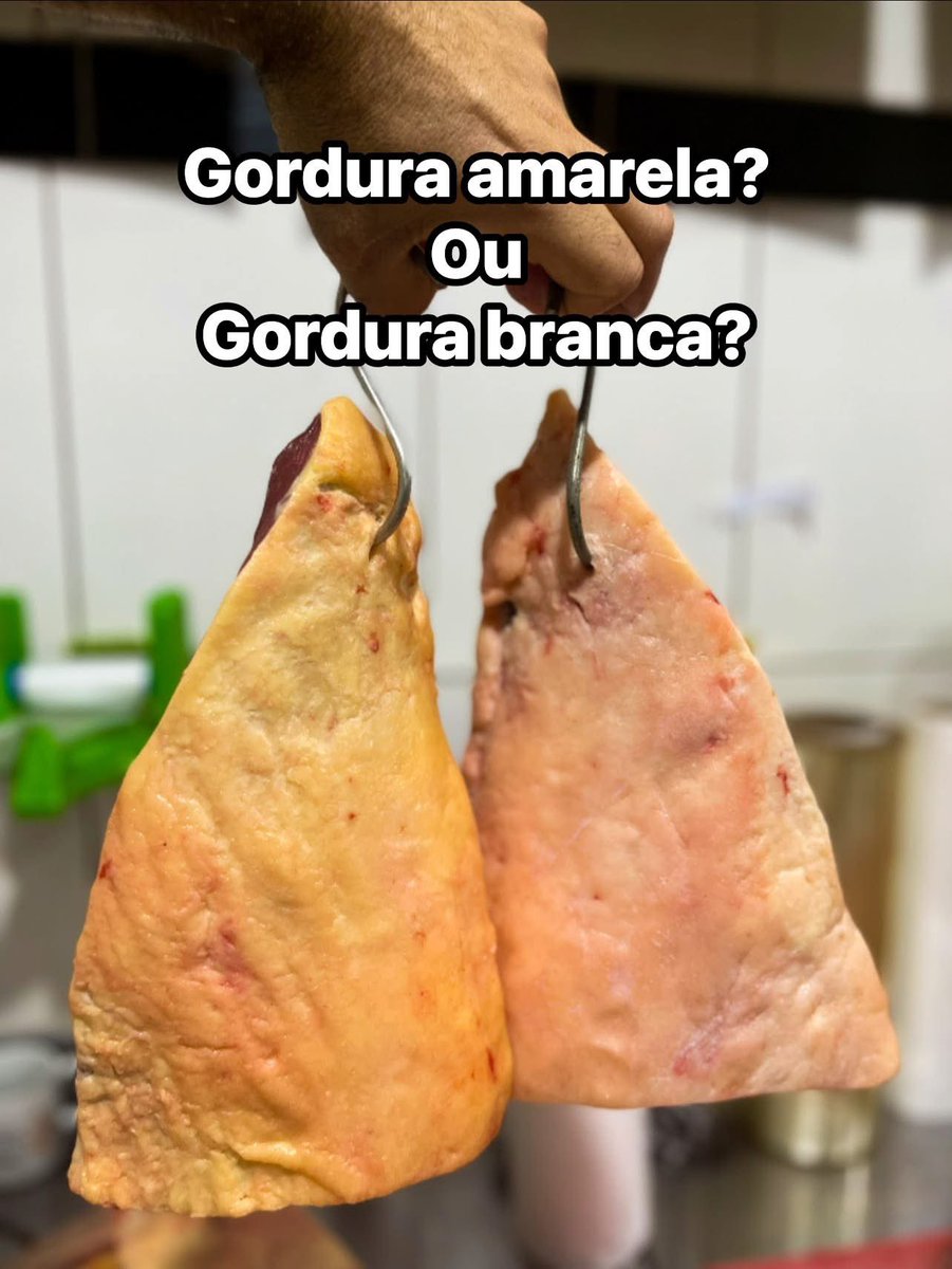 WanderValero tweet media