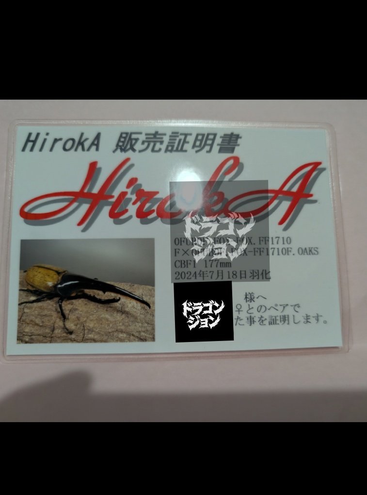dragonjohn55's tweet photo. イベント会場とかでHirokAさんから直接買ったのなら販売証明書があるはず🤭
販売証明書が無かったら疑ってみるべきですね😌
＃DHヘラクレス ＃HirokA https://t.co/54mF86psN5