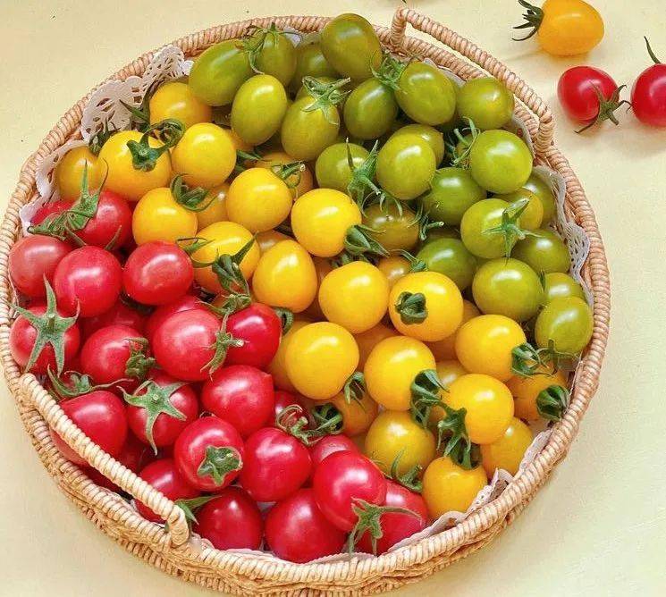 kbALzrnIwnHjNrK's tweet photo. Just tried the new organic cherry tomatoes from the local farmers’ market—burst with sweet juice, no weird aftertaste at all. Perfect for a quick salad! ， https://t.co/jF5IjGEdMH