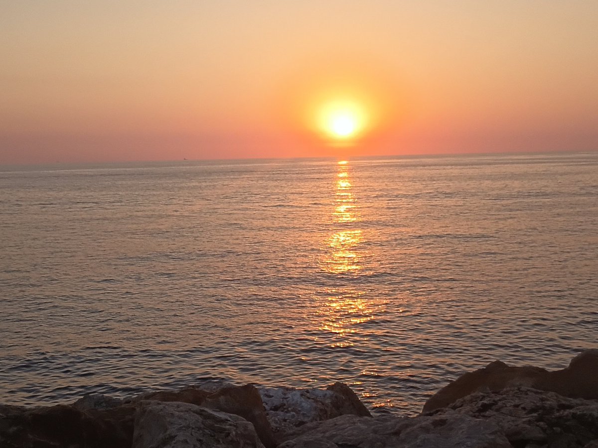hayfarani's tweet photo. From Beirut &amp; @AUB_Lebanon. Happy 250th Birthday to the country that I love, the one that gave me back when I gave it, the country that is the absolute best at self-correcting. 
#4thJuly https://t.co/U8Nl5vFHbx