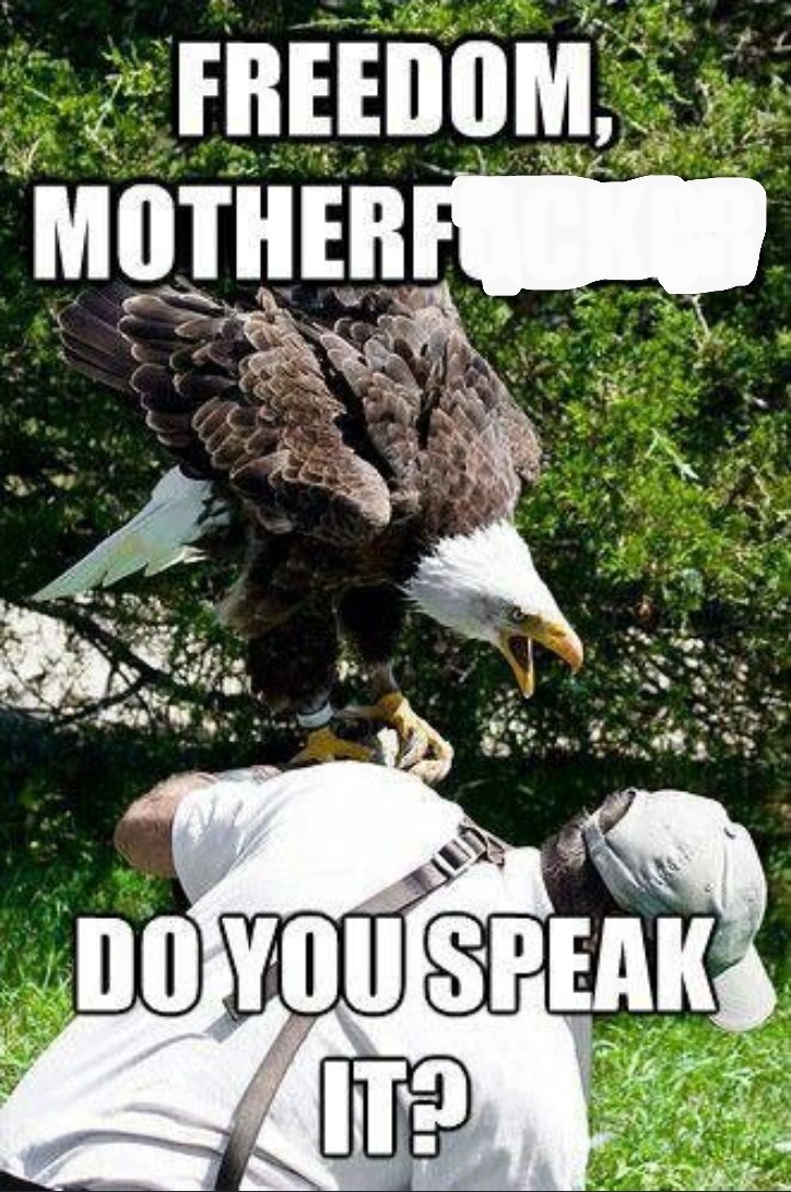 TyrusIvoryJr's tweet photo. God Bless America,
Land that I love.
Stand beside her, and guide her
Thru the night with a light from above.
From the mountains, to the prairies,
To the oceans, white with foam
God bless America, My home sweet home.

Happy 250th Birthday 🇺🇸 🦅 https://t.co/Adg5zV2gYv