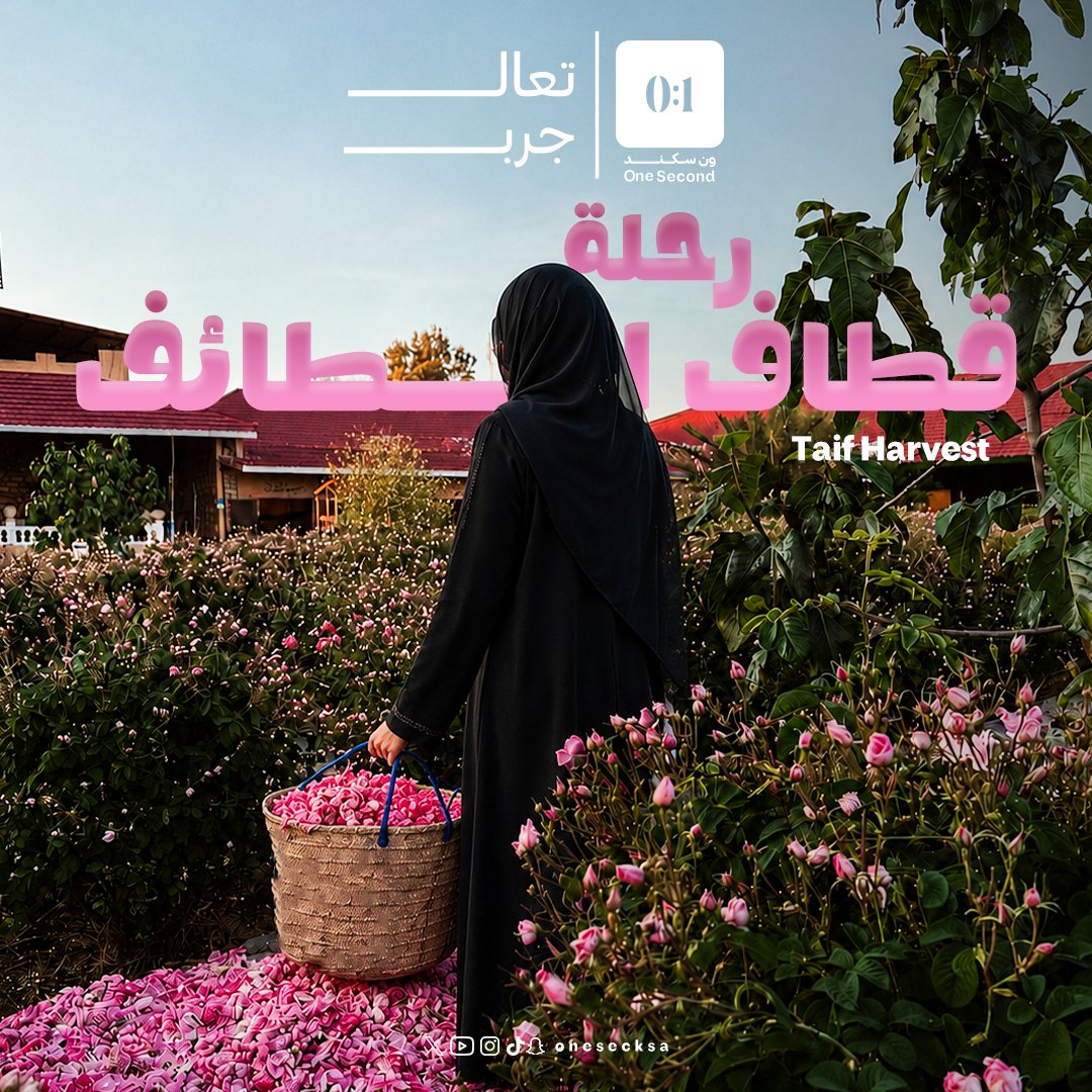 onesecksa's tweet photo. تتخيّل الطائف من فوق الغيم؟
استمتع بأجمل وجهات الطائف واحجز رحلتك الآن.
Can you imagine Taif from above the clouds?
Enjoy Taif’s most beautiful destinations and book your trip now.
https://t.co/n8TjU3T6KH
#ون_سكند #الطايف https://t.co/RM0LvsMsuX