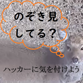 irukanigohan's tweet photo. 🦌しかのち。🦌鹿見れず1年。シカたない. 2026/07/04 🦌動画は2024/7/18🐳捕鯨論争が聞こえる？（🦌前回の鹿の出没目撃は2024/11/11→https://t.co/nDVWwh04QG）（🌅初日の出に報復呼びかけ→https://t.co/rwkiM6loml）
🦌宮城の金華山へは鮎川の港から船🐋鮎川は捕鯨基地🐳鯨料理が名物🐋鯨歯工芸も🐳 https://t.co/GeDwrUMqKs