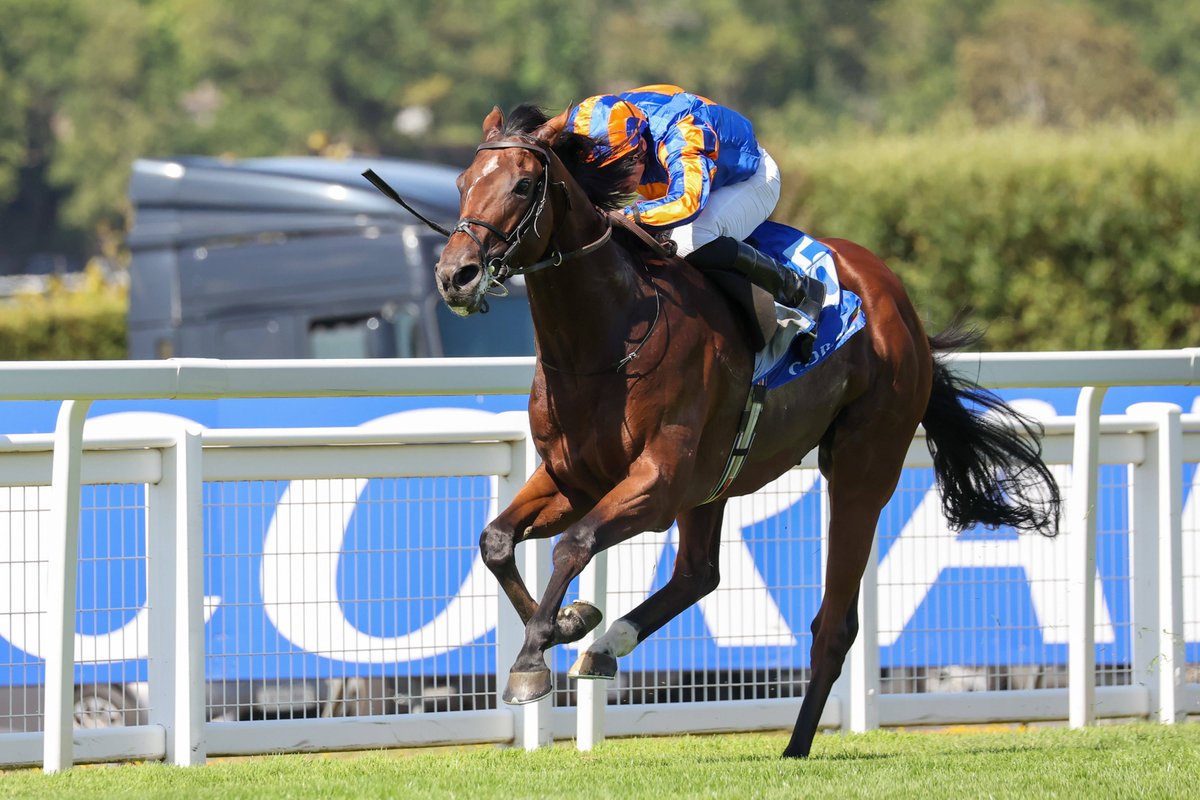 Horse Racing Ireland tweet media