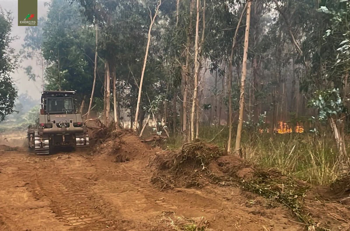 Exercito_pt's tweet photo. 🪖 𝐄𝐱é𝐫𝐜𝐢𝐭𝐨 𝐜𝐨𝐧𝐭𝐢𝐧𝐮𝐚 𝐧𝐨 𝐭𝐞𝐫𝐫𝐞𝐧𝐨 𝐩𝐞𝐥𝐚 𝐩𝐫𝐨𝐭𝐞çã𝐨 𝐝𝐚𝐬 𝐩𝐨𝐩𝐮𝐥𝐚çõ𝐞𝐬

🔥 O Exército mantém o seu empenhamento no apoio às atividades de proteção civil, ajustando diariamente o dispositivo às necessidades operacionais.

👀 Estão atualmente empenhadas 41 Patrulhas de Vigilância e Deteção, distribuídas por vários pontos do país, contribuindo para a deteção precoce de incêndios, a vigilância de áreas sensíveis e a dissuasão de comportamentos de risco.

🚜 Na região de Vouzela/Viseu, encontram-se empenhados dois Destacamentos de Engenharia com máquinas de rasto, apoiando o combate direto aos incêndios rurais, a defesa de aglomerados populacionais e as operações de rescaldo.

🛡️ O dispositivo integra ainda um Pelotão de militares em ações de rescaldo e vigilância pós-incêndio na mesma região.

🤝 Em Abrantes, o Exército assegura também o alojamento e a alimentação de 32 operacionais dos Bombeiros, bem como o parqueamento de 10 veículos, nas instalações do Regimento de Apoio Militar de Emergência.

🇵🇹 Com prontidão, capacidade e espírito de missão, o Exército continua a contribuir para a proteção das populações, dos bens e do território.

Desde sempre a honrar Portugal!
#ExércitoPortuguês #ApoioMilitarEmergência #Potencial_Humano #Cooperação_Nacional #Prontidão