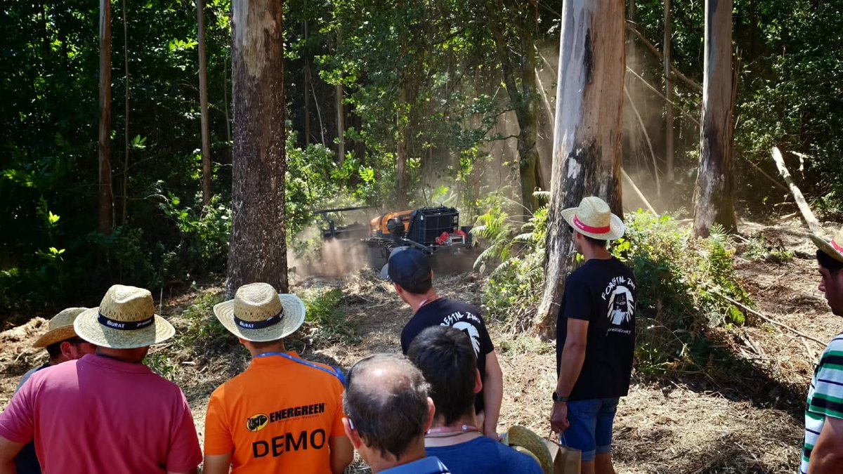 galiforest's tweet photo. #MonteIndustria #InnovaciónForestal #SectorForestal #TecnologíaForestal #FeriaProfesional #Networking #xeraindustriaforestal #MURAT #abanca @SomosABANCA https://t.co/5NMxi4QFpD