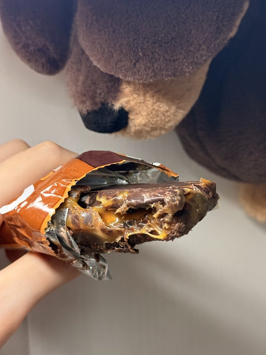 jnhdbf's tweet photo. 寝る前にチョコレートを食べたら眠れなくなっちゃうかなぁ🤔 https://t.co/aLtSOmeRAX