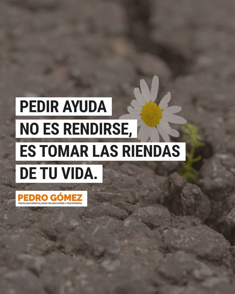psitera's tweet photo. 📲 606459962
📩 info@psicologo-adicciones.com
🔎 https://t.co/i5GkGLiQKk
📍 Paseo de Santa María de la Cabeza 12, 1B, 28045 Madrid

Pedro Gómez
Psicólogo adicciones

#PedirAyuda #Recuperacion #SaludMentalMadrid #TerapiaAdicciones #PedroGomezPsicologo https://t.co/eqhgmjJnTw