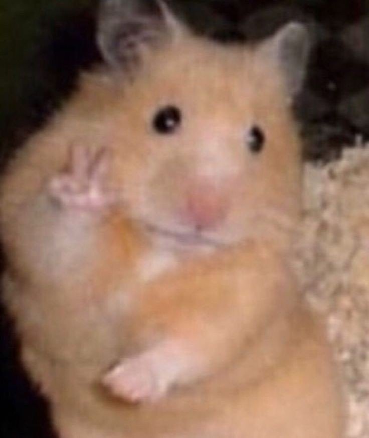 meganeise's tweet photo. https://t.co/iswPrd6CKu
Hi, my name is Dai, Bennett, or Benny whatever you prefer to call me. I’m new to the Bleach fandom. I took a break from role-playing for about 3 or 4 years, and I’m just getting used to this again. Feel free to interact with both me and my muse, and I hope https://t.co/clmc3jE8PL