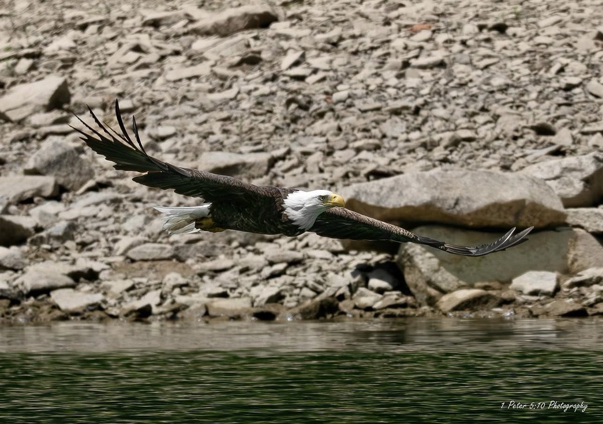 WV State Parks tweet media