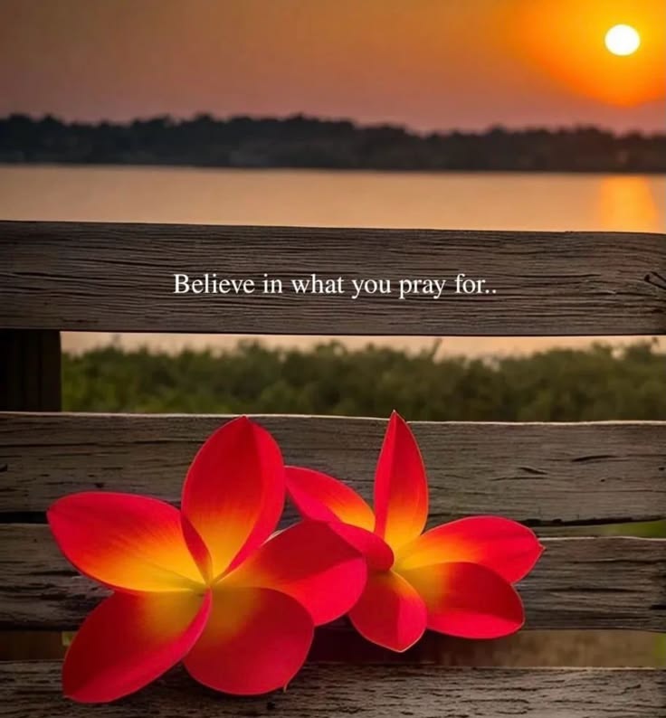 MQUOTESLIFE's tweet photo. https://t.co/Pm0DzhwUsc