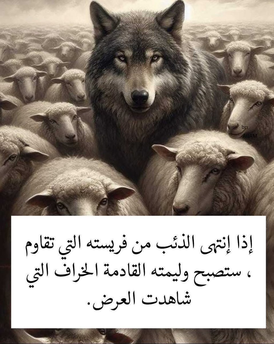 mostafa2002m's tweet photo. https://t.co/EIMf9GIEj2