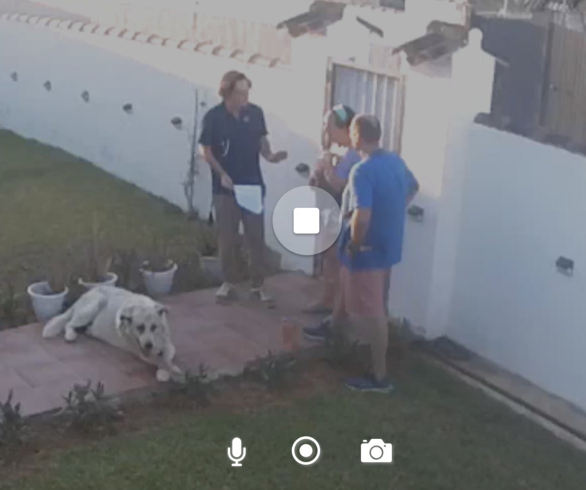 Oliver141269's tweet photo. Habe gerade das erste Mal die DN seit 3 Wochen gesehen. Ich bedanke mich bei allen die uns bei Coco und Cabrero unterstützen wollen. Ihr seid fantastisch 🤩. Momentan bekommen wir das aber noch alleine geregelt, ohne Hilfe. Aber bleibt dran, wir werden uns in Spanien um mehr Tiere kümmern, und vielleicht ist dann auch mal Hilfe nötig. 
Danke meine Freunde. Ihr seid spitze 🫶🫶🫶