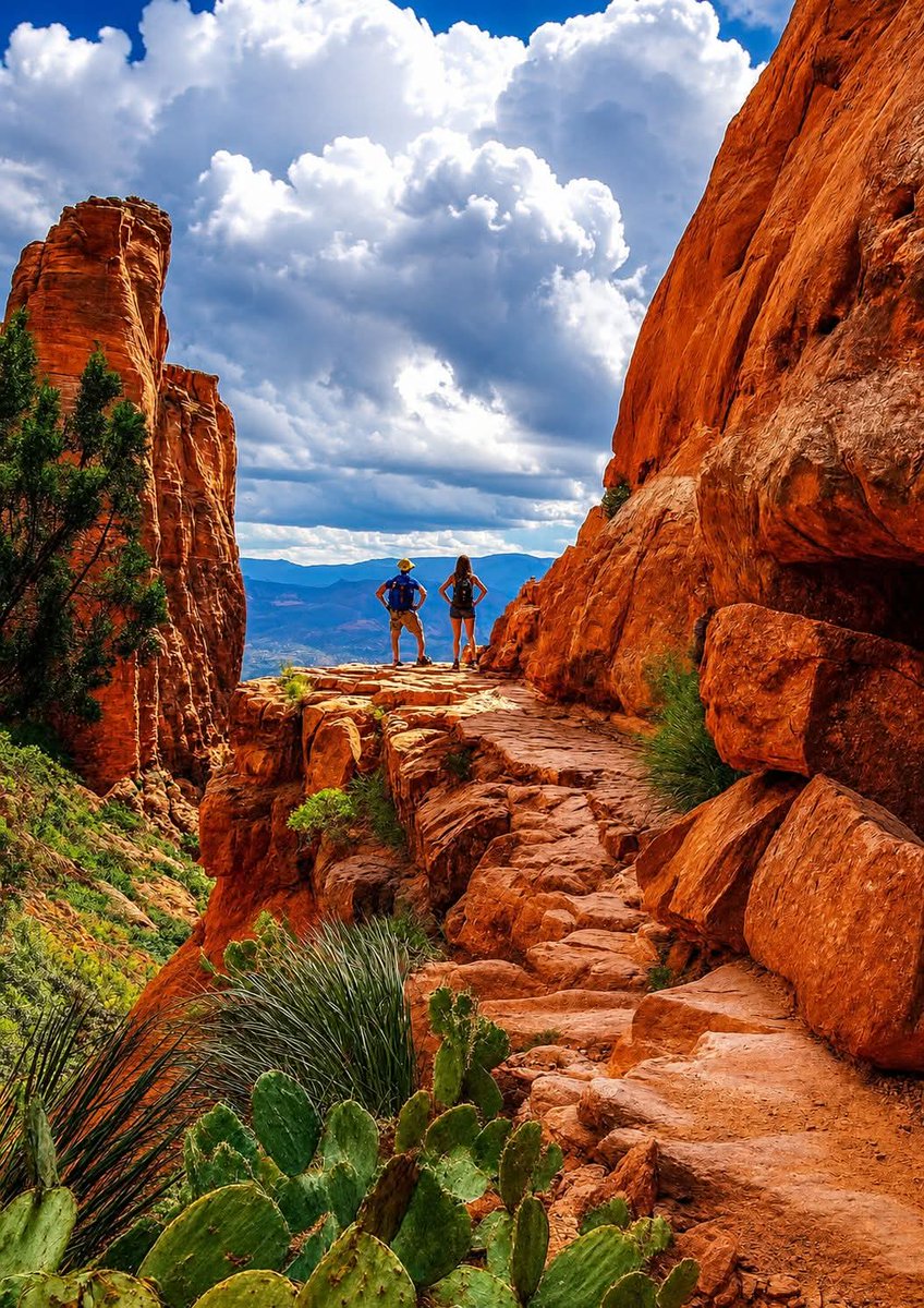 nature_c2ngn's tweet photo. Zion National Park in Utah 😲😍 https://t.co/9M0w4qmUeu