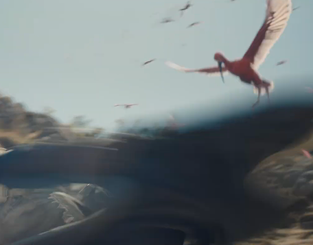 kimichkis's tweet photo. YALL THE FLAMINGOS I'M DONE. https://t.co/ZklNsr1obb