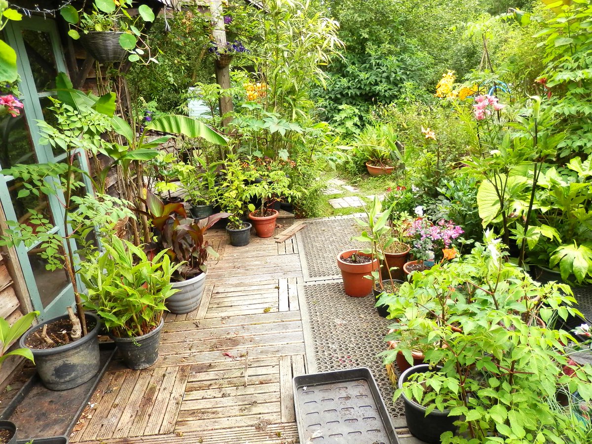 Skog200's tweet photo. a dull cloudy day here .. so sorting out the front of house display for summer ..its like doing a jigsaw ..without a picture 😁it will all fit somewhere by the end of the weekend 🤞 https://t.co/JnNaWAbU4u