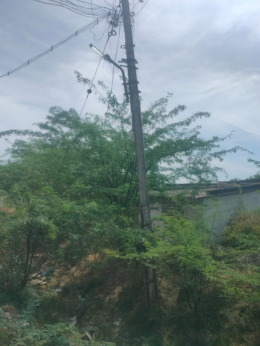 ragavan_10's tweet photo. @CMOTamilnadu @TANGEDCO_Offcl @CTR_Nirmalkumar @chennaicorp Day 28
Dangerous electric pole severely tilted &amp; damaged(Avm Nagar, 1st Street, Urapakkam West).
High risk of collapse. Pls replace it immediatel
Consumer No :- 09584004970
Compliment no :- 2533099
@CMOTamilnadu @TANGEDCO_Offcl @CTR_Nirmalkumar @chennaicorp @sunnewstamil https://t.co/vVnSUEtduK