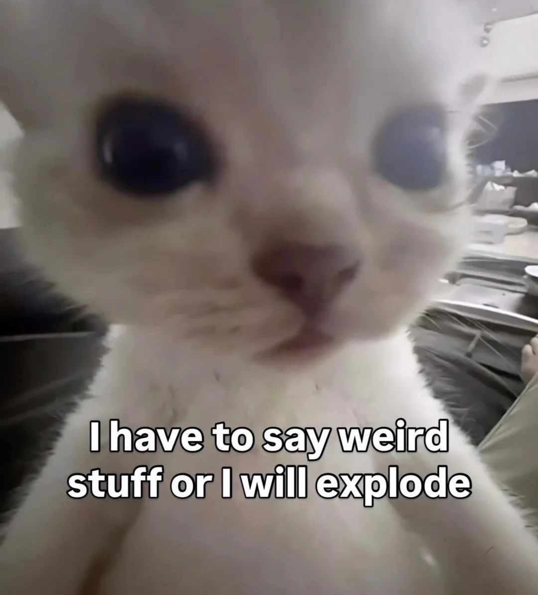 ADHDForReal's tweet photo. https://t.co/CqAbQZIfSZ