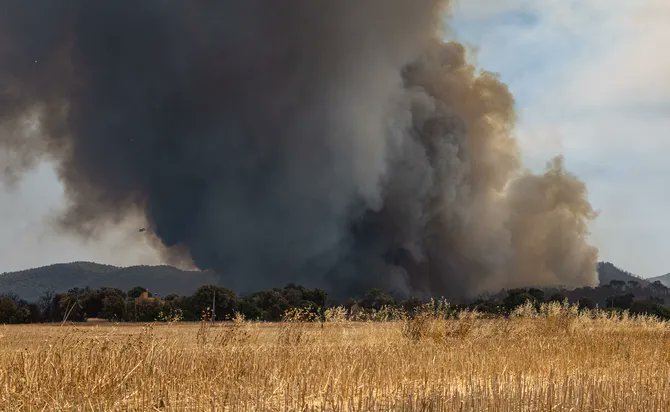 JoanAC_93's tweet photo. Enmig de tanta angoixa per l’incendi de les Gavarres, avui també hi ha una notícia que emociona: més d’un centenar d’animals han estat rescatats gràcies a la feina de voluntaris de Cruïlles, la Bisbal d’Empordà i municipis de l’entorn.

Rucs, cavalls i altres animals que vivien en zones pròximes al foc han pogut ser traslladats a espais segurs. I això, en un incendi com aquest, no és menor. Sovint, enmig de les flames, de les hectàrees cremades, dels municipis confinats i de la preocupació pel flanc dret en direcció Girona, els animals acaben sent els grans oblidats.

Per això avui cal donar les gràcies a tota aquesta gent que no ha mirat cap a una altra banda. A qui ha carregat animals, ha obert hípiques, ha ofert instal·lacions, ha fet crides, s’ha organitzat i ha actuat amb una humanitat immensa.

Continuo molt preocupat per Calonge i Sant Antoni, la Bisbal, Cruïlles, Forallac, Llagostera, Santa Cristina d’Aro, Palamós, Palafrugell, Mont-ras, Torrent, Vall-llobrega i tots els municipis afectats o pendents de l’evolució del foc. Però avui, dins la tristesa, també hi ha una mica d’esperança.

Els animals també formen part de la nostra terra. També pateixen, també fugen, també necessiten que algú pensi en ells.

Gràcies de tot cor als voluntaris. Sou la millor cara del país.