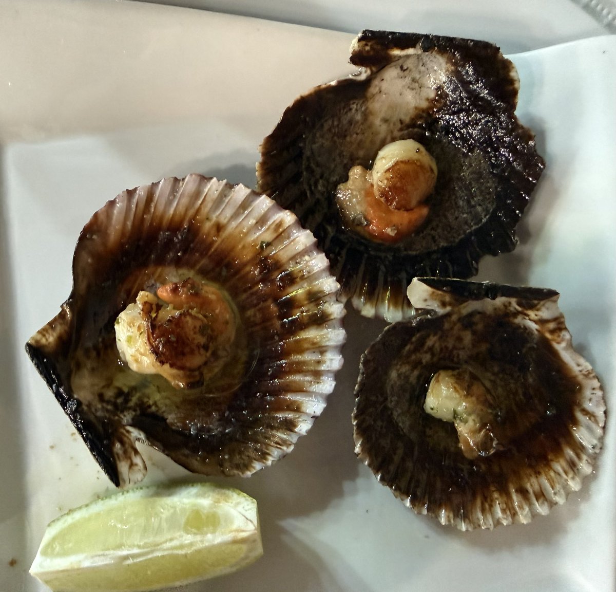 TURGALITAS's tweet photo. Vieiras do Pacífico á pedra 

Restaurante Cantábrico
A Fonsagrada https://t.co/2oV2htIem6