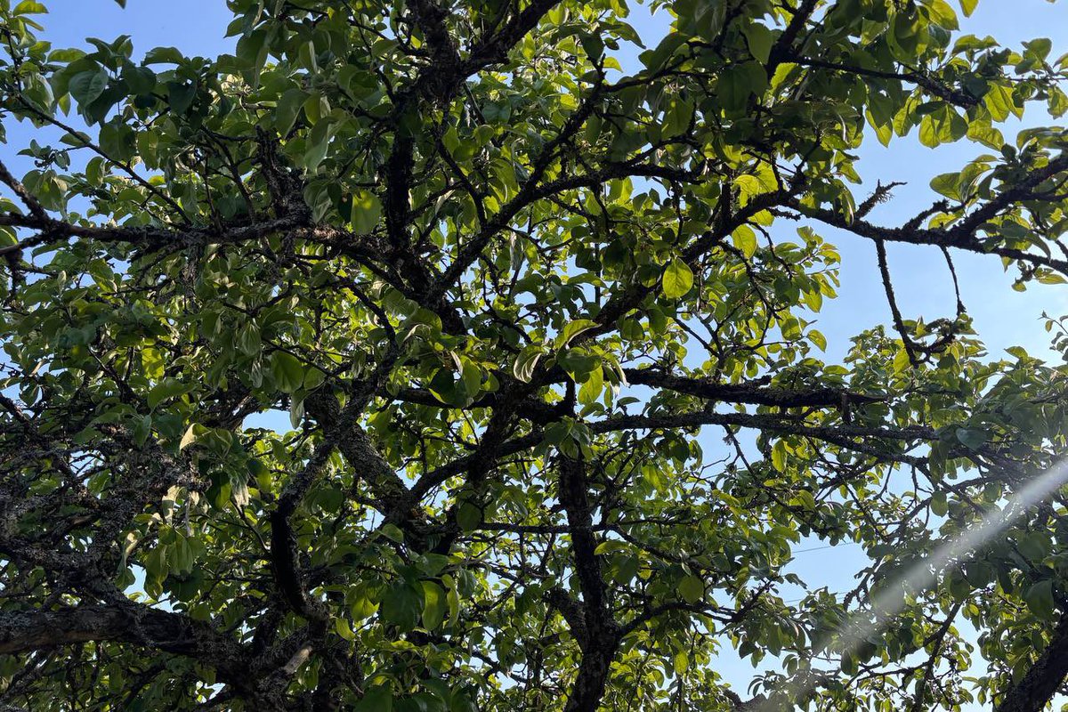 ssensevoid's tweet photo. And sometimes you just need to look up https://t.co/HBhZXgp6uB