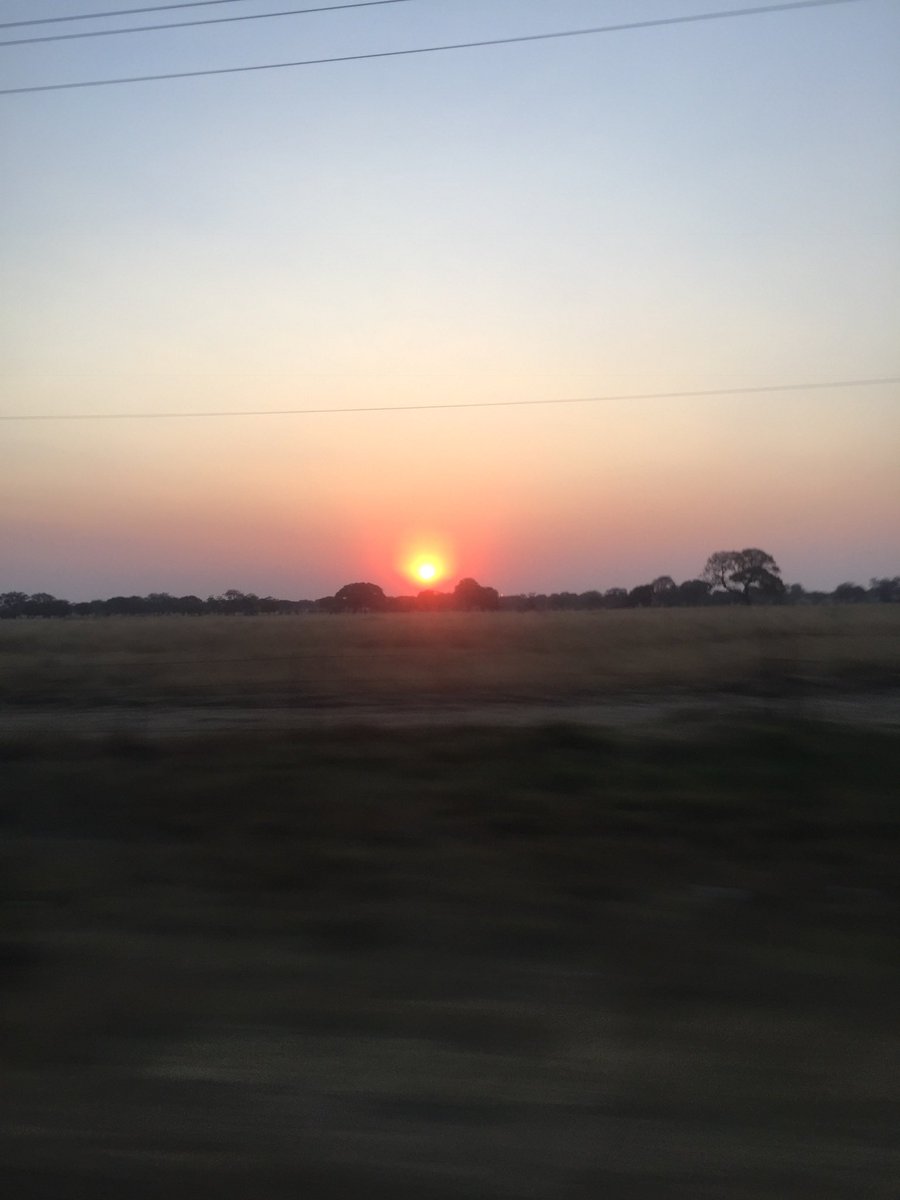 Aurelliic's tweet photo. 🇿🇼❤️💚💛 https://t.co/dqiNyulMU4