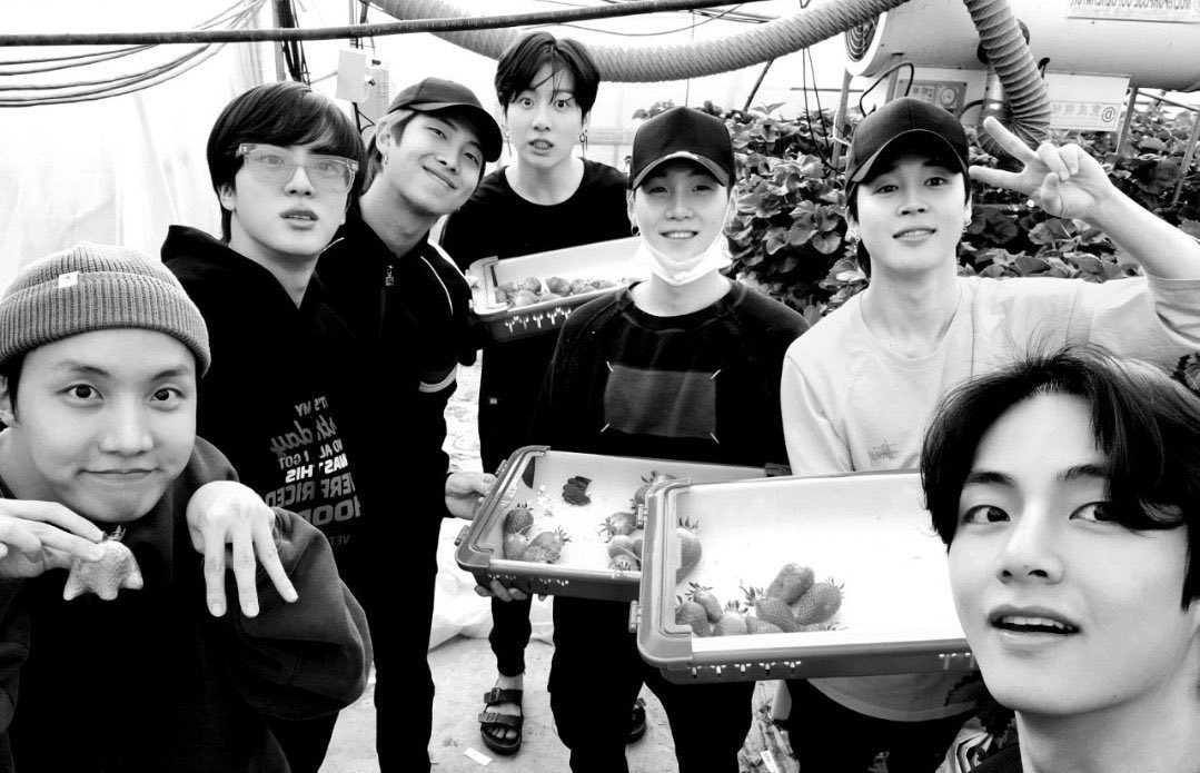 fkubluehouse's tweet photo. one bts memory i hold very close to my heart is when they all spent a day at seokjin’s uncle’s strawberry farm together and we got these pictures of them 🥹 https://t.co/fgBAyyITxM