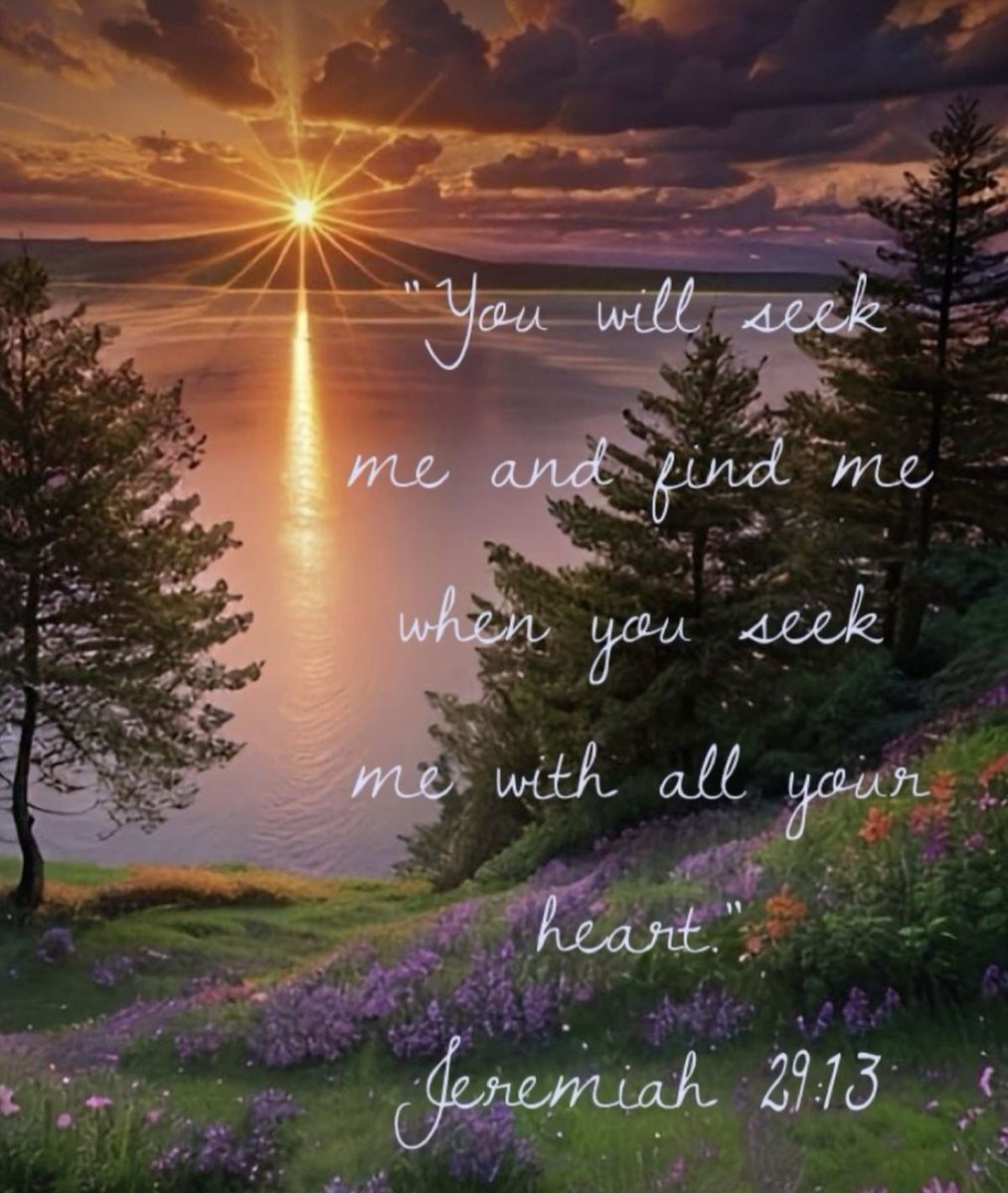 BarbaraRom20315's tweet photo. Jeremiah 29:13🌿🌹 https://t.co/L3xXJKwTbv