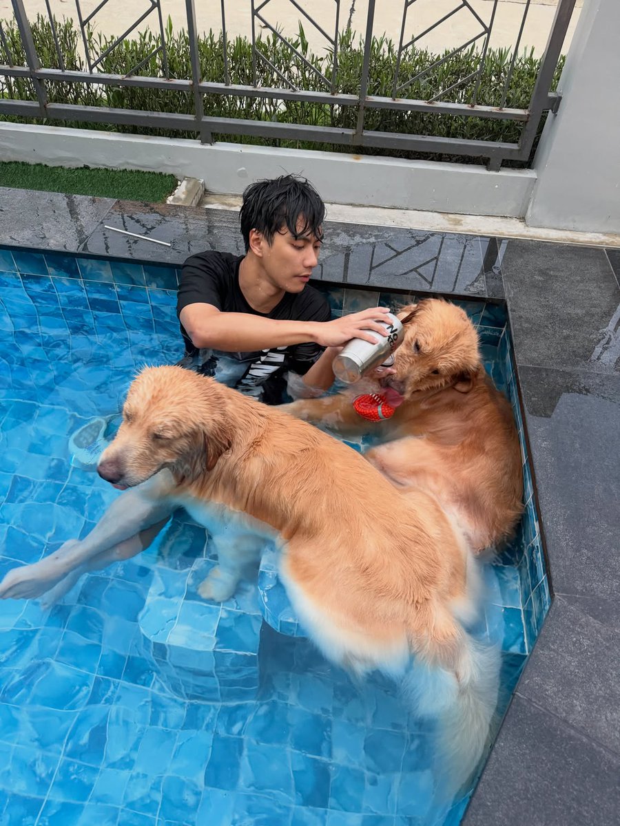 wmelonsorbet's tweet photo. #ohmpawat &amp; #gold__denn IG post 
20260704

Day off 🐶

https://t.co/idi9THVuUD https://t.co/mRwa3Fjtlm