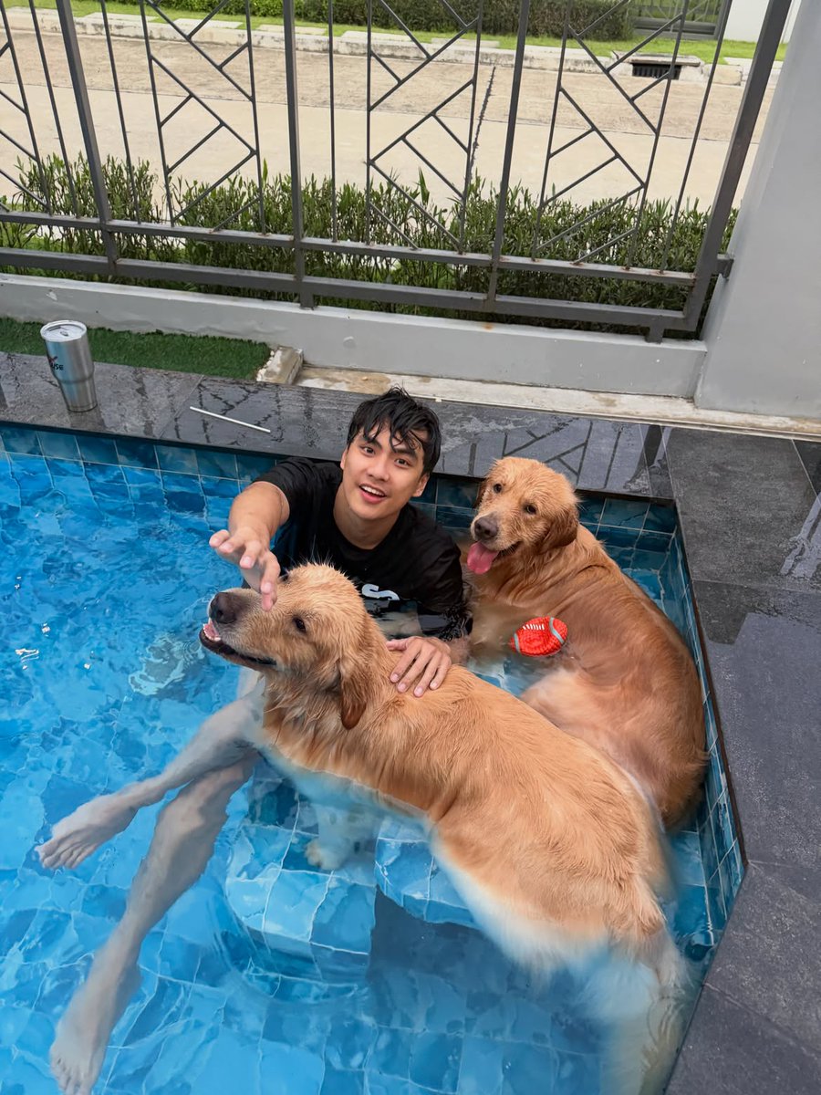 wmelonsorbet's tweet photo. #ohmpawat &amp; #gold__denn IG post 
20260704

Day off 🐶

https://t.co/idi9THVuUD https://t.co/mRwa3Fjtlm