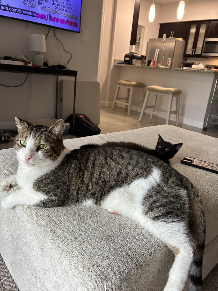 jaideyz's tweet photo. These bums https://t.co/oR8HDcdDer