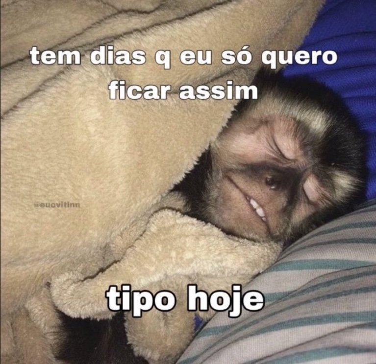 felipevasmo's tweet photo. Eu hoje https://t.co/mAsQJE8Ha3