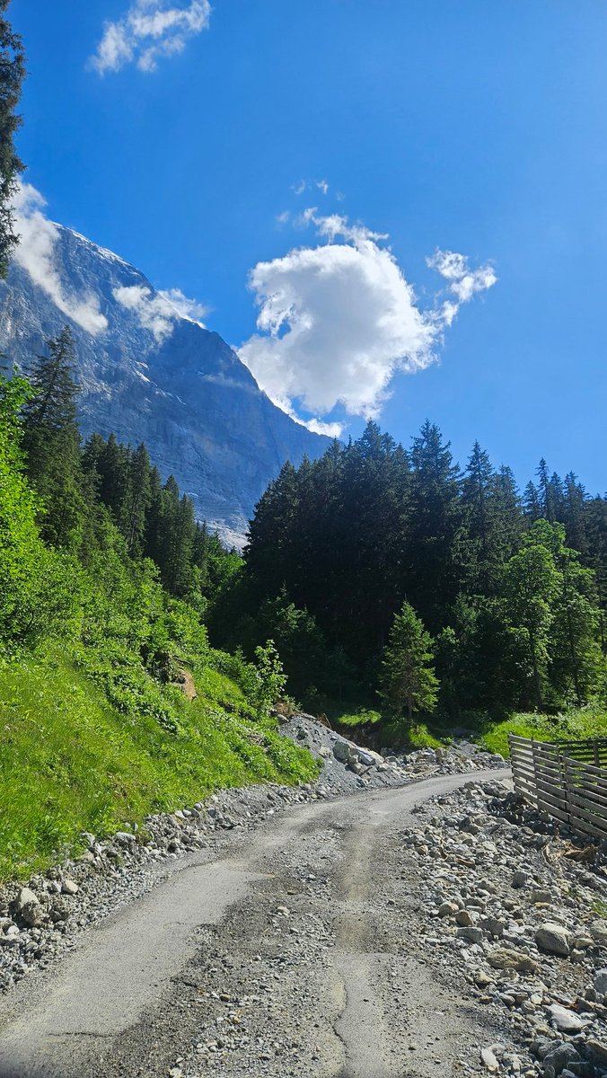 perrygw2's tweet photo. Didnt quite make it all the way up the mountain
Had to turn around after 2h of ascending due to a bad headache and running out of water. I was like 2/3 of the climb which sucks but was great either way 
The drive down will be on my youtube after a bit of Editing https://t.co/KkkSjZ0aRp